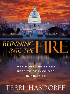 cover image of Running Into the Fire